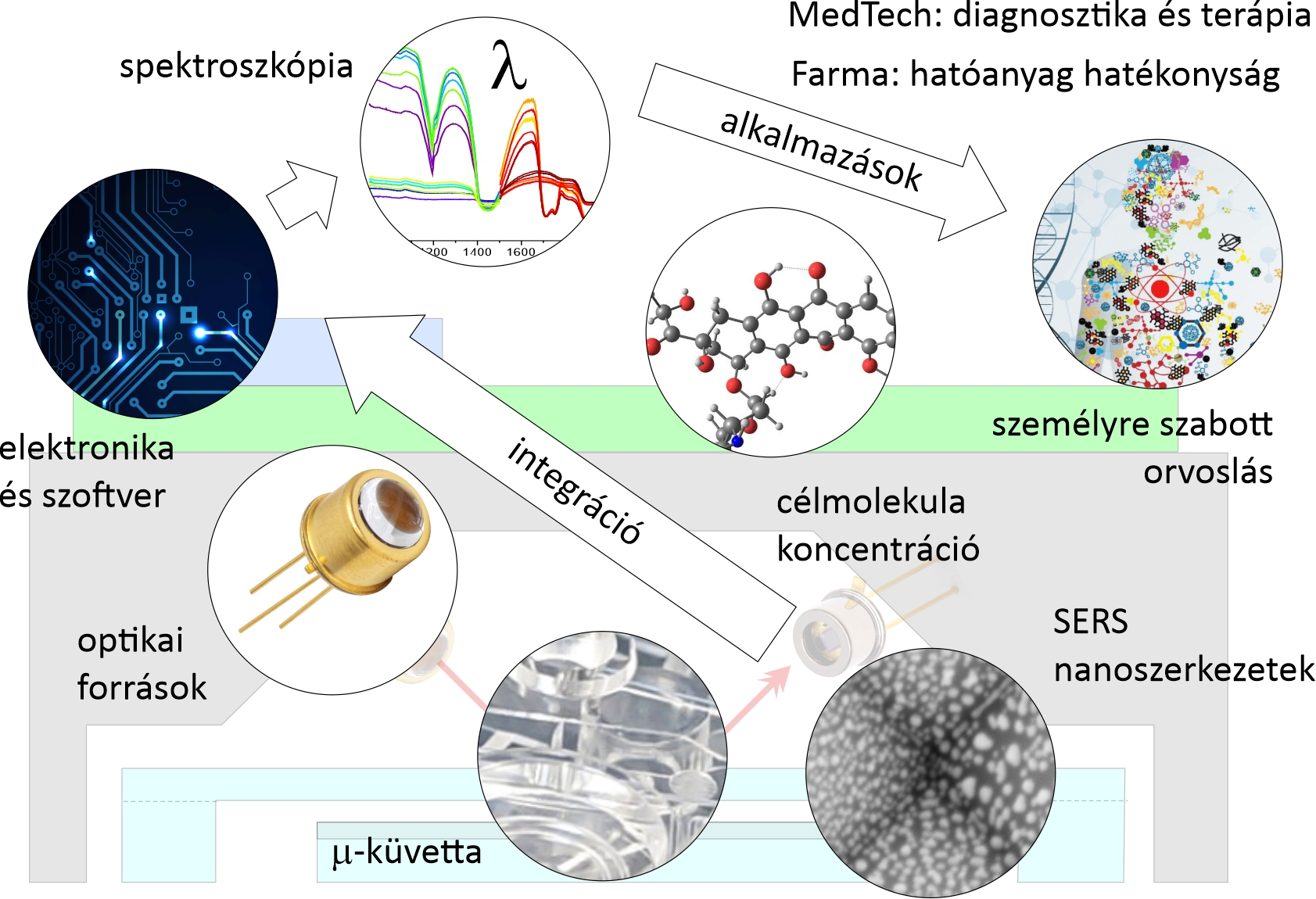 Állatkísérletek helyett: új mikroeszközök gyorsítják fel a ...